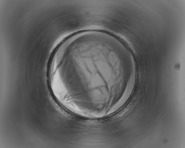 X0000096651422200803041139