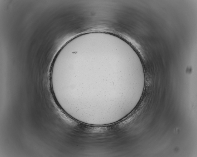 X0000096651423200803041139