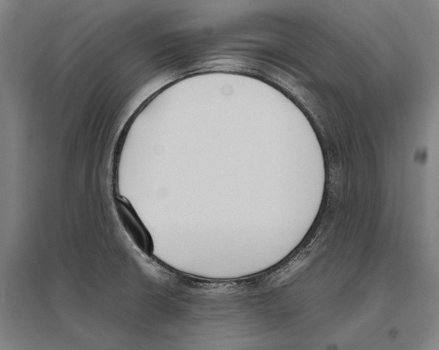 X0000096651426200803041139