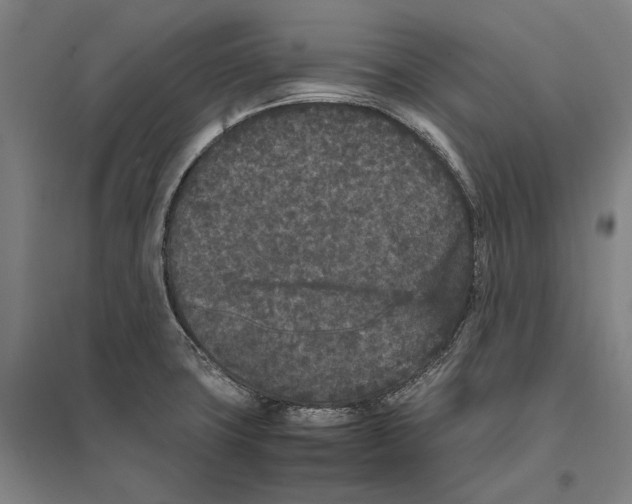 X0000096651427200803041139