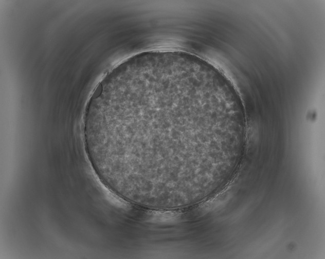 X0000096651429200803041139