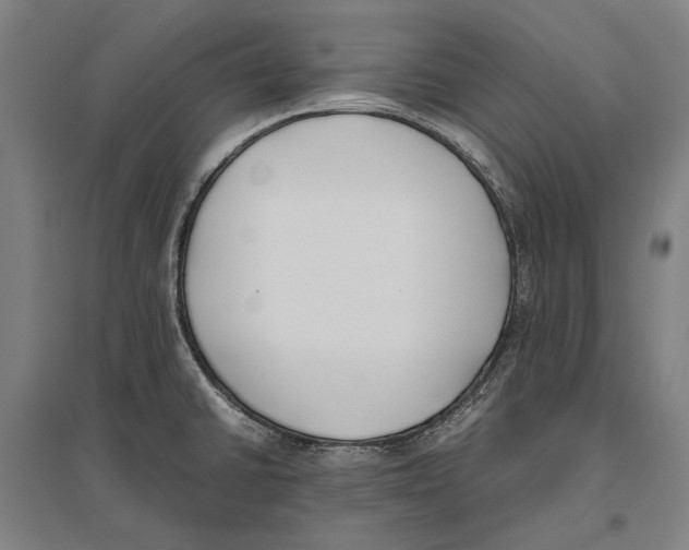 X0000096651430200803041139