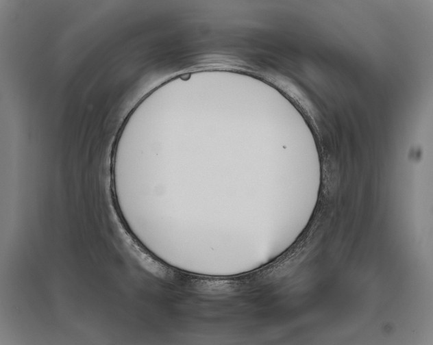 X0000096651431200803041139