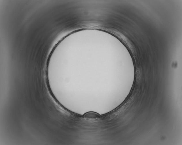 X0000096651432200803041139