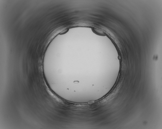 X0000096651433200803041139