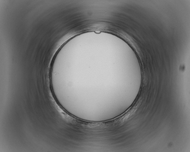 X0000096651434200803041139