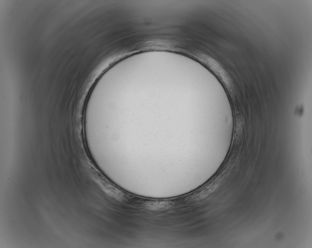 X0000096651435200803041139