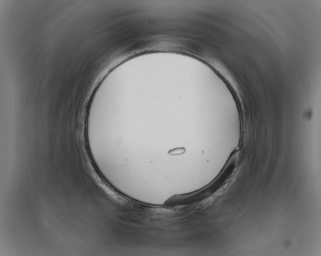 X0000096651437200803041139