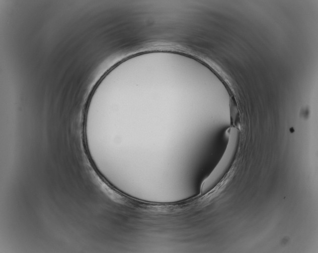 X0000096651438200803041139