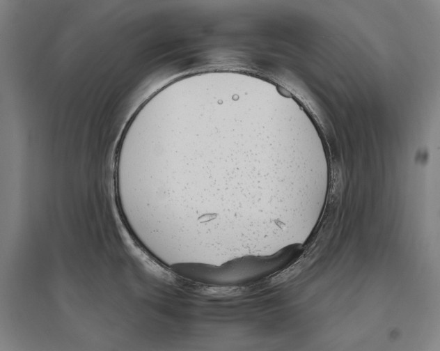 X0000096651439200803041139