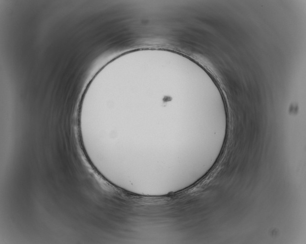 X0000096651440200803041139