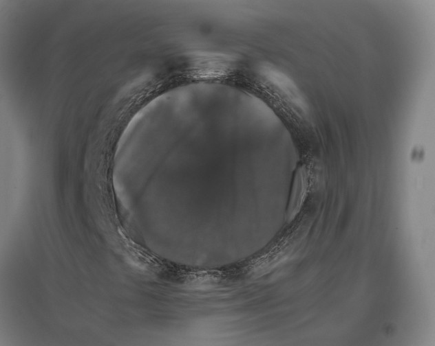 X0000096651441200803041139