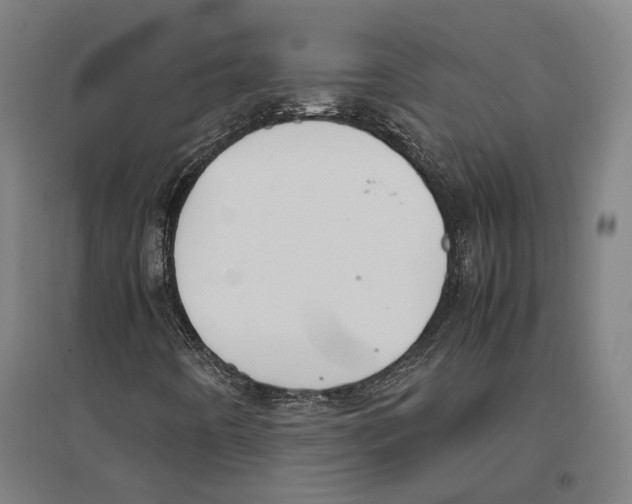 X0000096651442200803041138