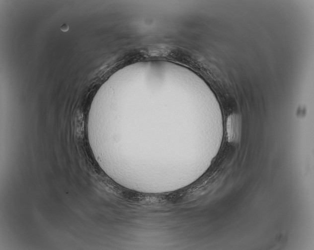 X0000096651443200803041138