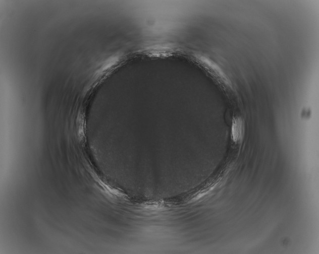 X0000096651444200803041138