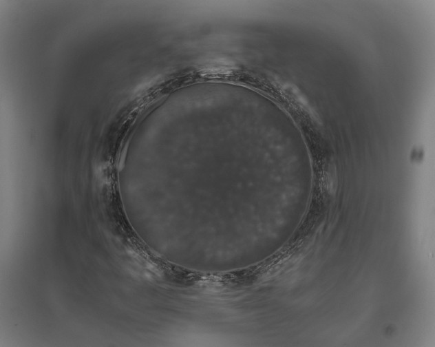 X0000096651445200803041138