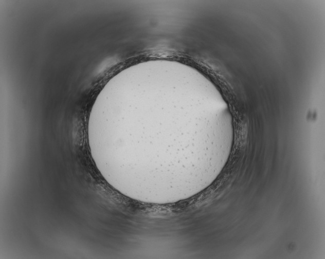 X0000096651446200803041138