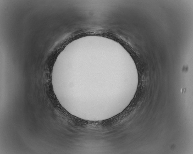 X0000096651447200803041138