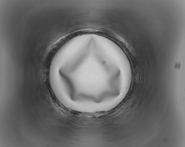 X0000096651448200803041138