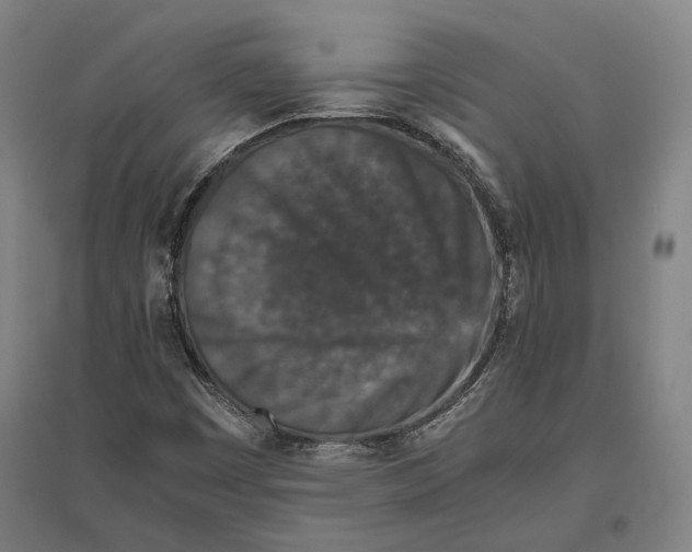 X0000096651449200803041138