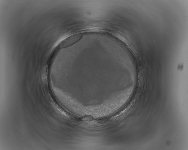 X0000096651450200803041138