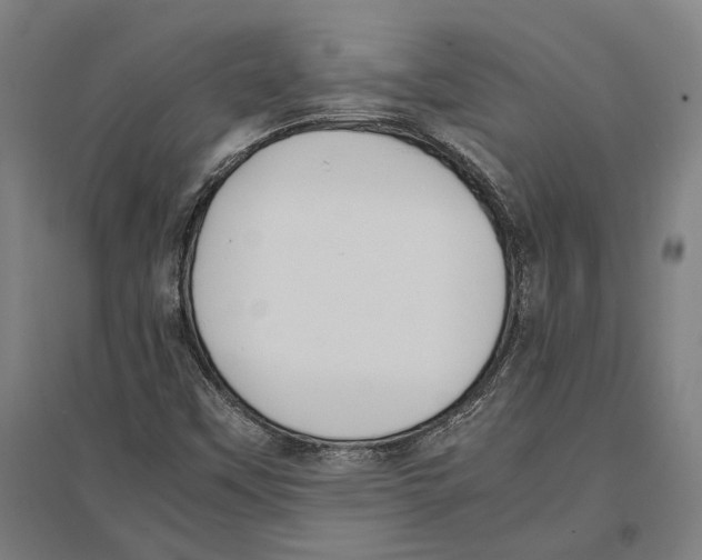 X0000096651451200803041138