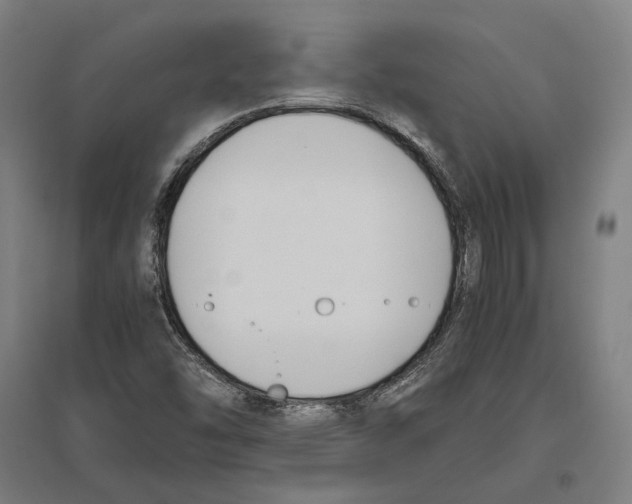 X0000096651454200803041138