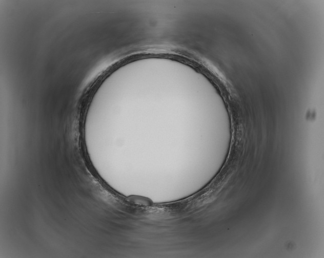 X0000096651456200803041138