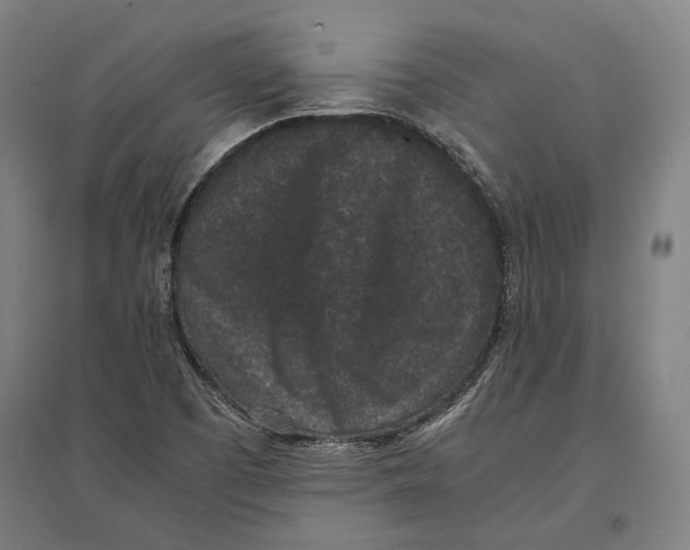 X0000096651457200803041138