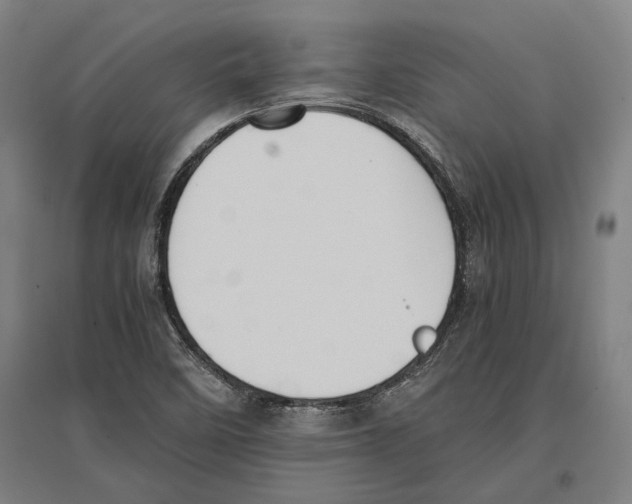 X0000096651458200803041138