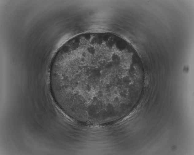 X0000096651459200803041138