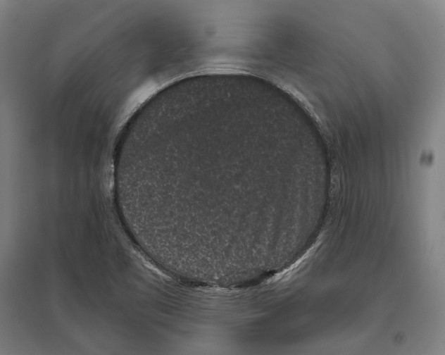 X0000096651461200803041138