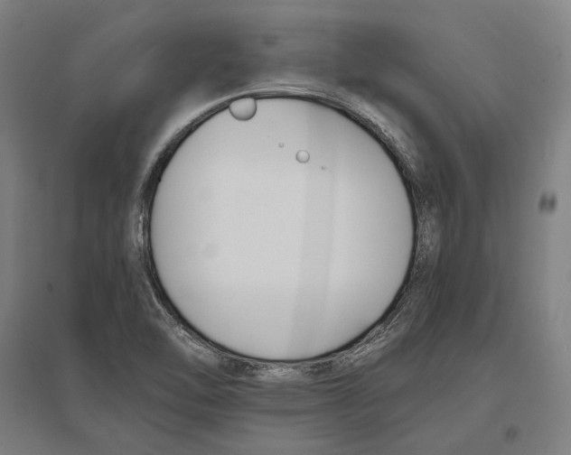 X0000096651462200803041138