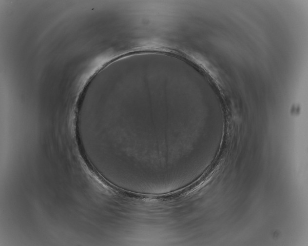 X0000096651463200803041138