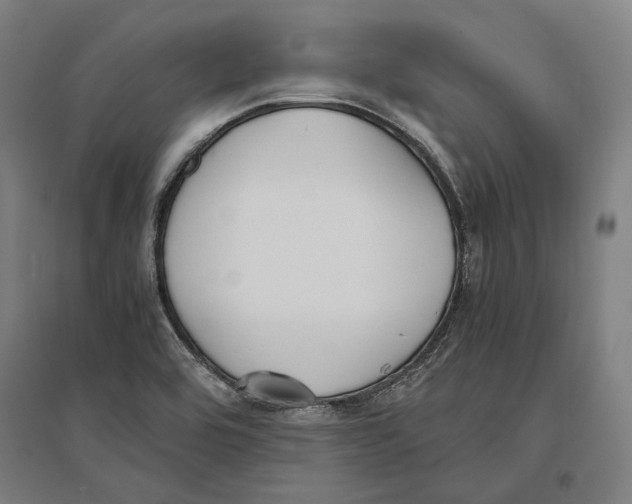 X0000096651464200803041138