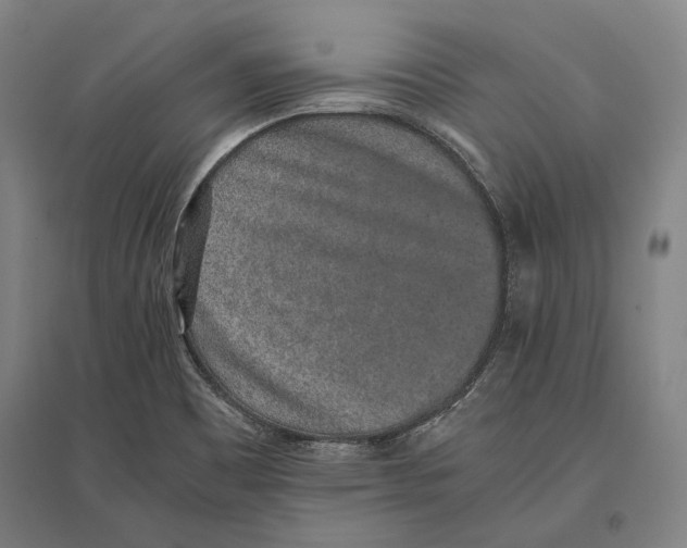 X0000096651465200803041138