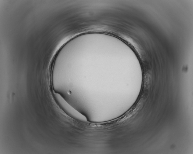 X0000096651467200803041138