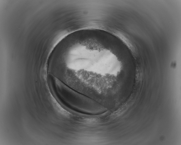 X0000096651468200803041138