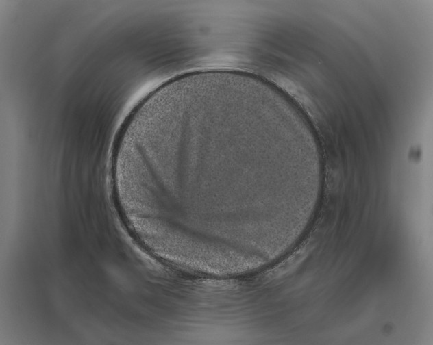 X0000096651469200803041138