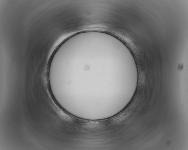 X0000096651470200803041138