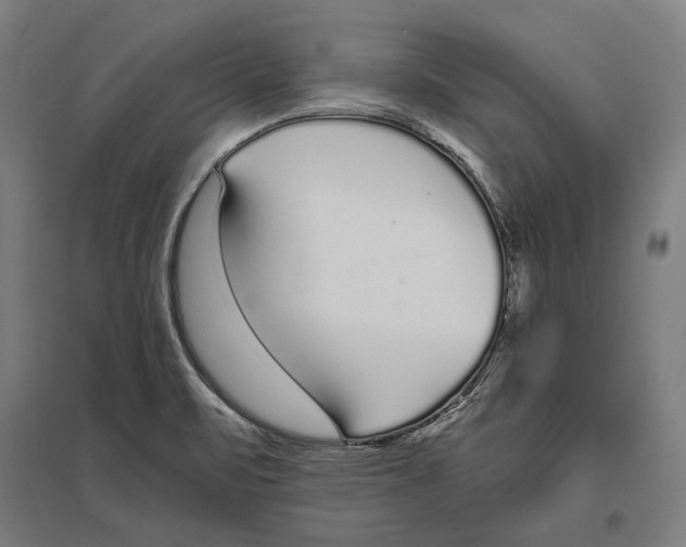 X0000096651471200803041138