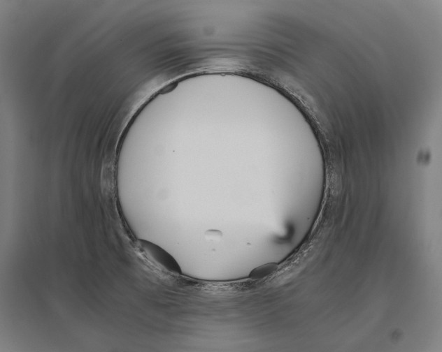 X0000096651473200803041138