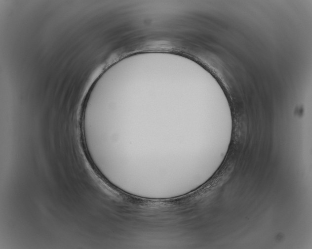 X0000096651475200803041138