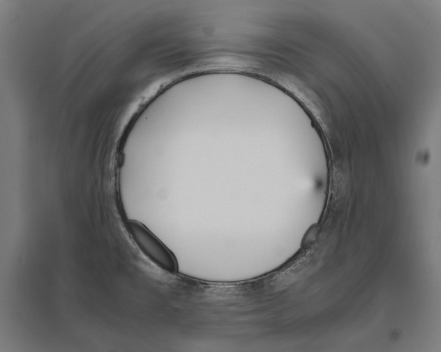 X0000096651477200803041138