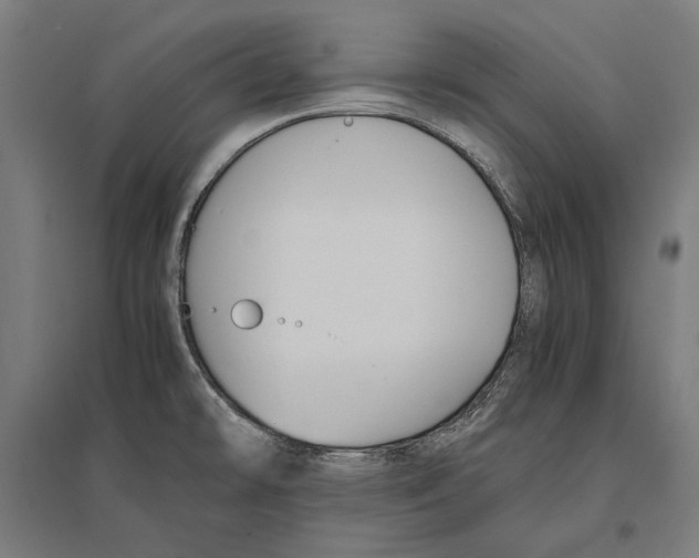 X0000096651478200803041138