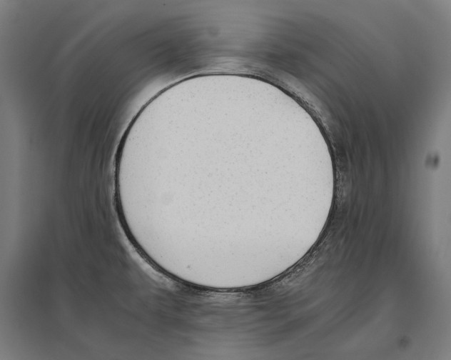 X0000096651479200803041138