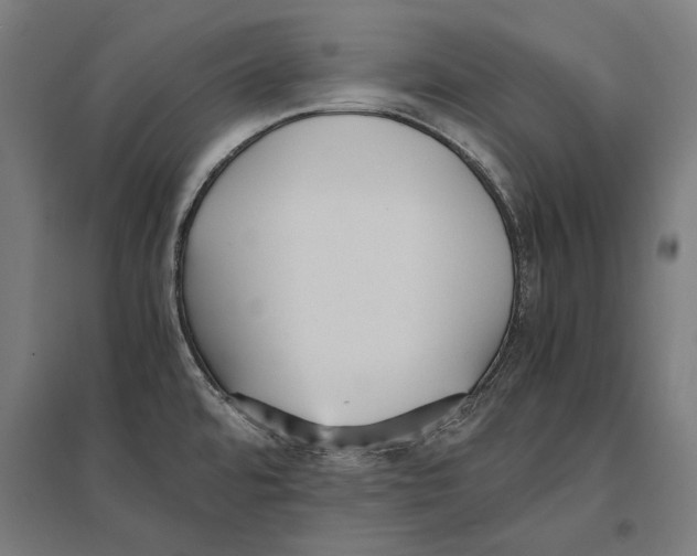 X0000096651480200803041138