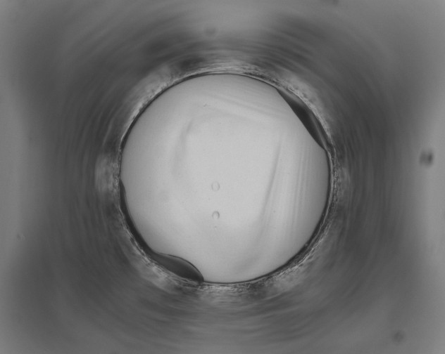 X0000096651481200803041138