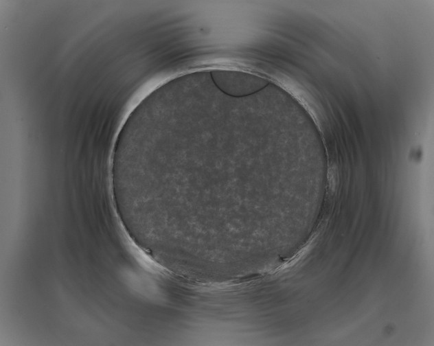 X0000096651482200803041138