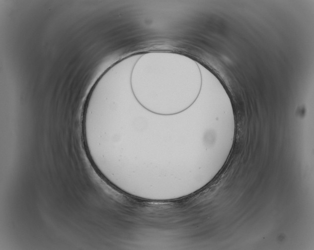 X0000096651483200803041138